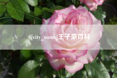 德清王子豪百科