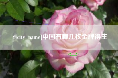 德清中国有哪几枚金牌得主
