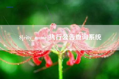 德清执行公告查询系统