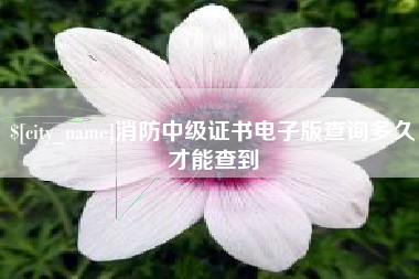 德清消防中级证书电子版查询多久才能查到