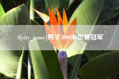 德清男子5000米世界冠军