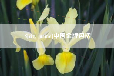 德清中国金牌包括