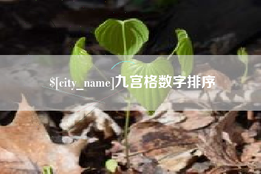 德清九宫格数字排序