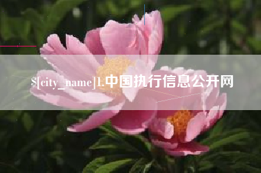 德清1.中国执行信息公开网