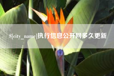 德清执行信息公开网多久更新