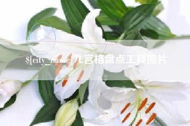 德清九宫格盘点工具图片