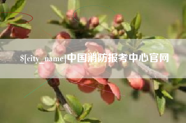德清中国消防报考中心官网