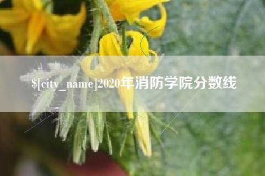 德清2020年消防学院分数线