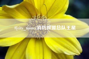 德清消防救援总队王星