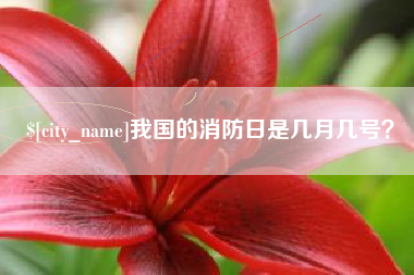 德清我国的消防日是几月几号？