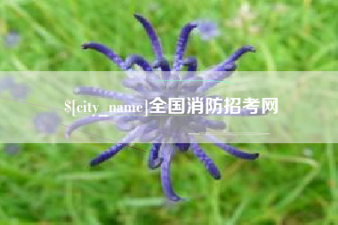 德清全国消防招考网
