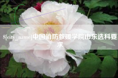 德清中国消防救援学院山东选科要求
