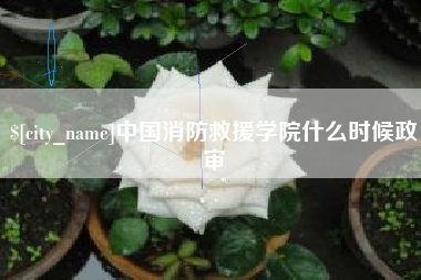 德清中国消防救援学院什么时候政审