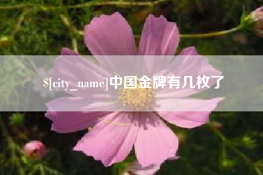 德清中国金牌有几枚了