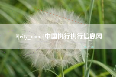 德清中国执行执行信息网