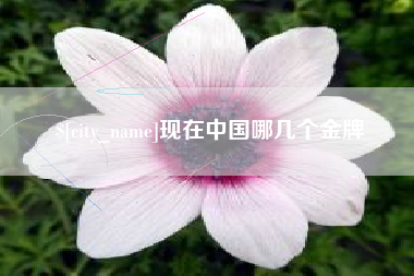 德清现在中国哪几个金牌