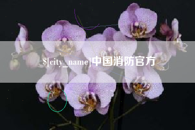 德清中国消防官方