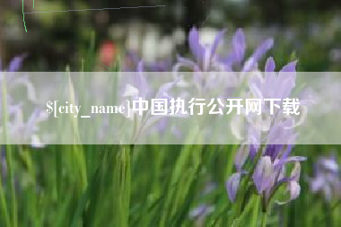 德清中国执行公开网下载