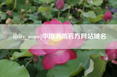 德清中国消防官方网站域名