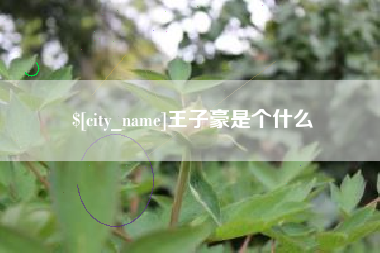 德清王子豪是个什么