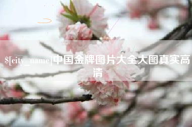 德清中国金牌图片大全大图真实高清