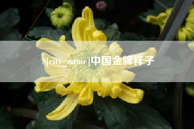 德清中国金牌样子