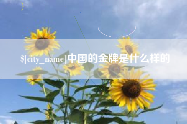 德清中国的金牌是什么样的