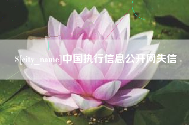 德清中国执行信息公开网失信