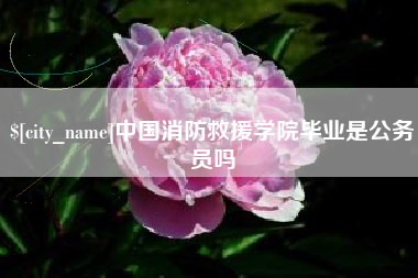 德清中国消防救援学院毕业是公务员吗