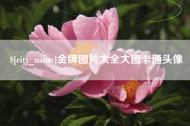德清金牌图片大全大图卡通头像