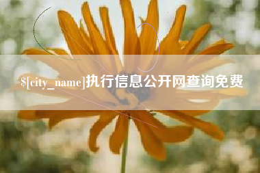 德清执行信息公开网查询免费