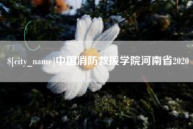 德清中国消防救援学院河南省2020